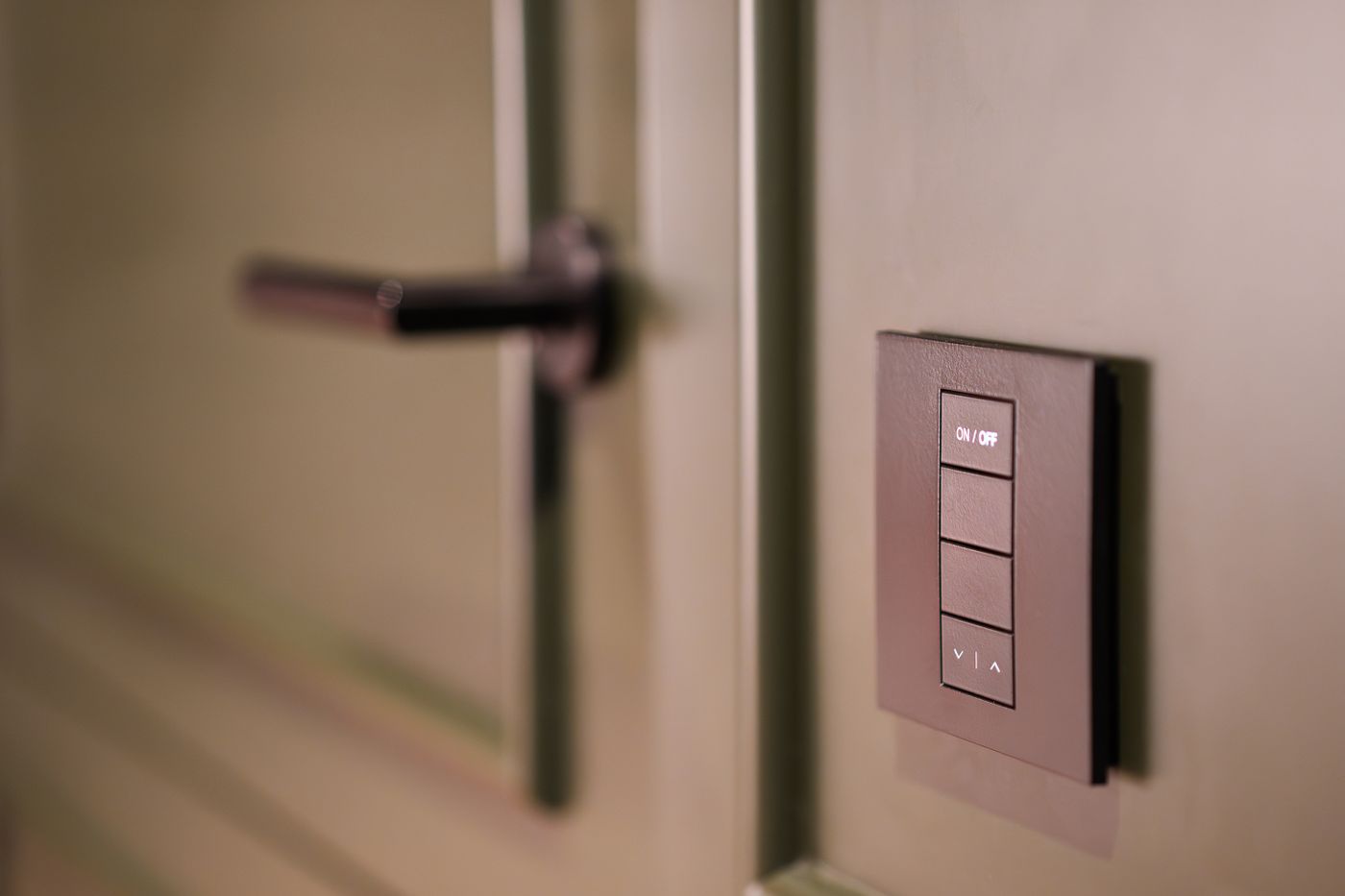 Dimmer and smart control detail