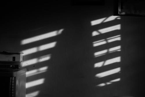 Monochrome Photo of Shadow on Wall