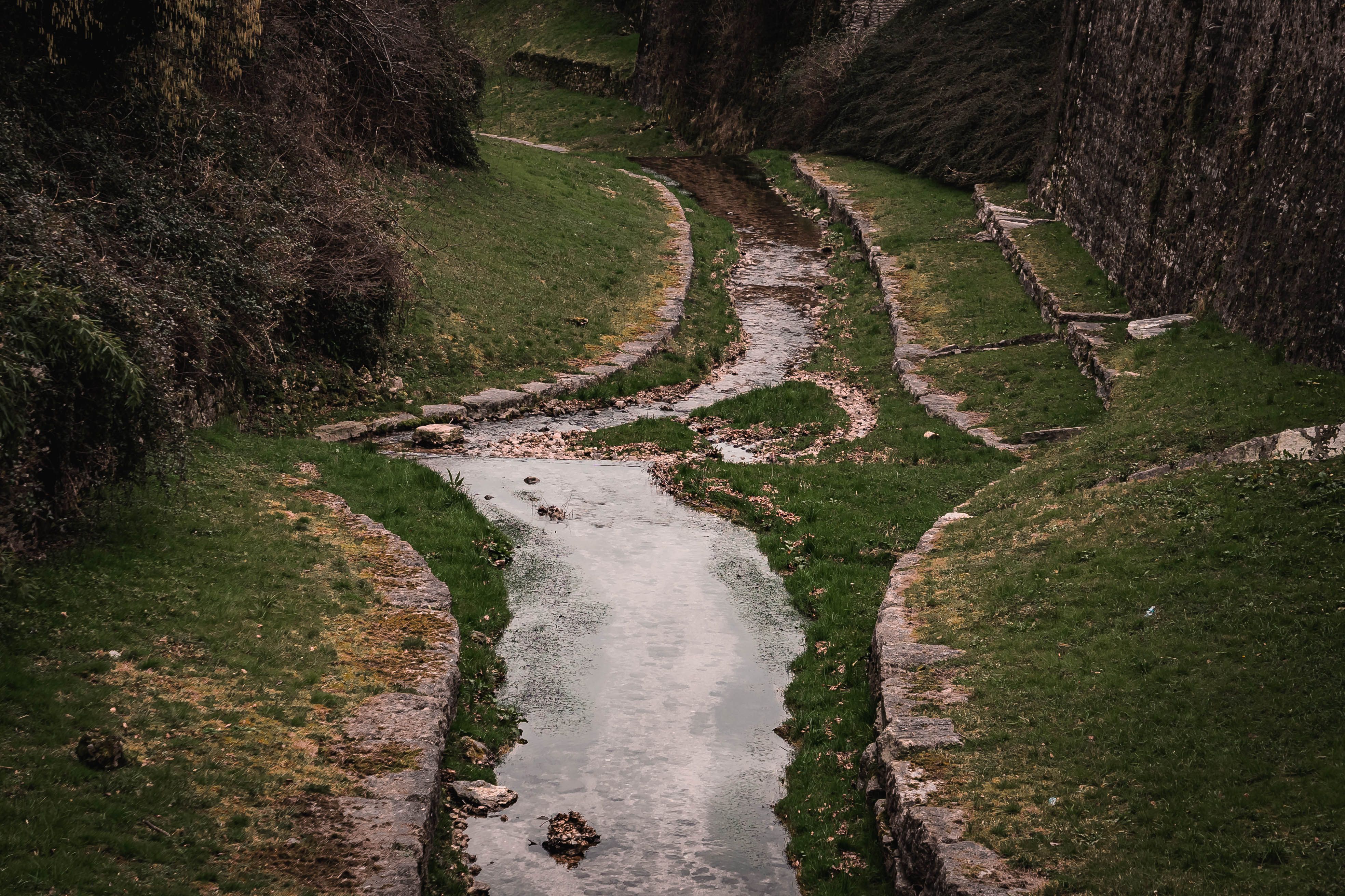 Serene Natural Stream in Lush Green Ravine · Free Stock Photo