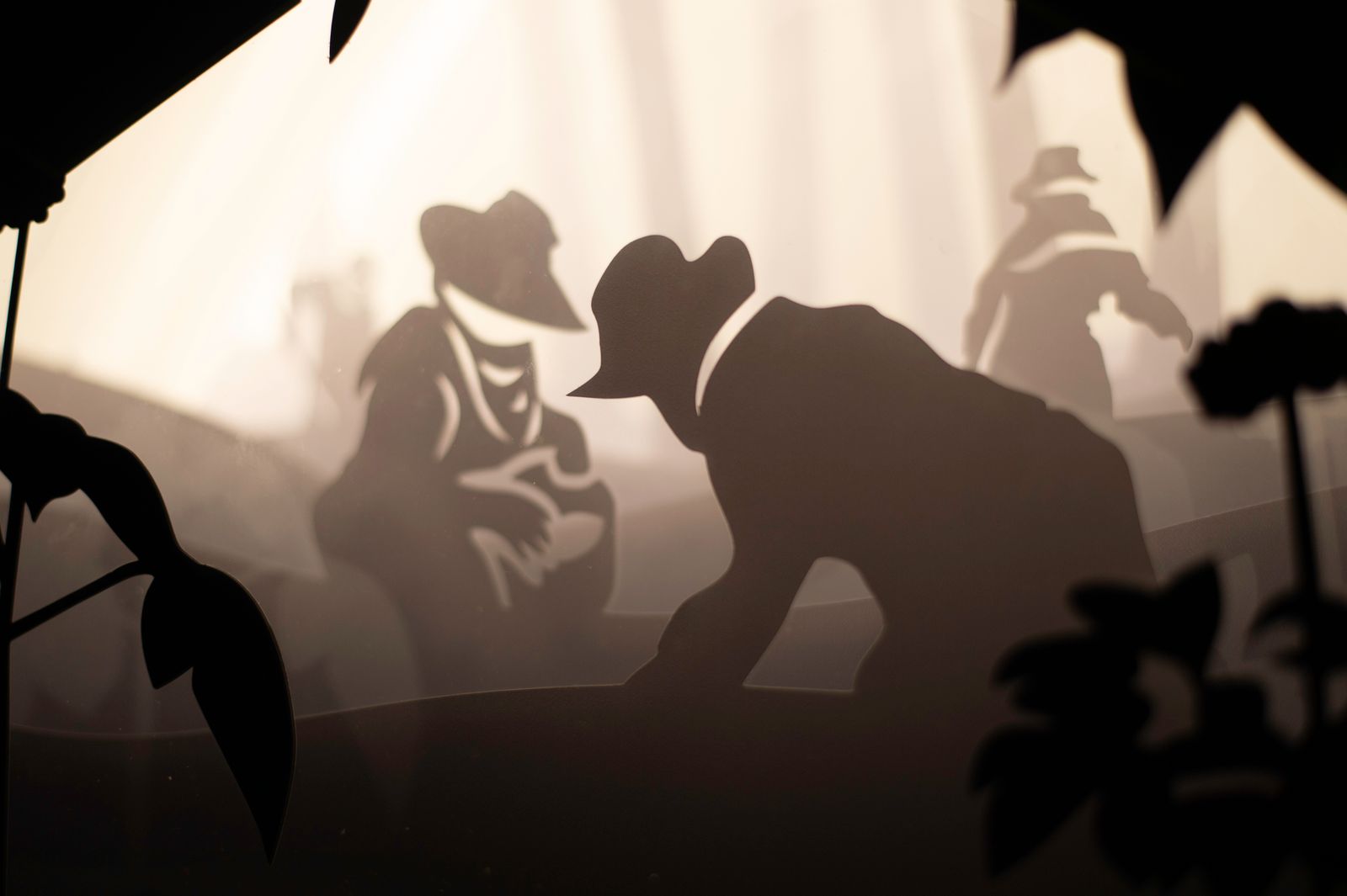 Shadow Play - Elegance of Paper Light & Silhouette Art
