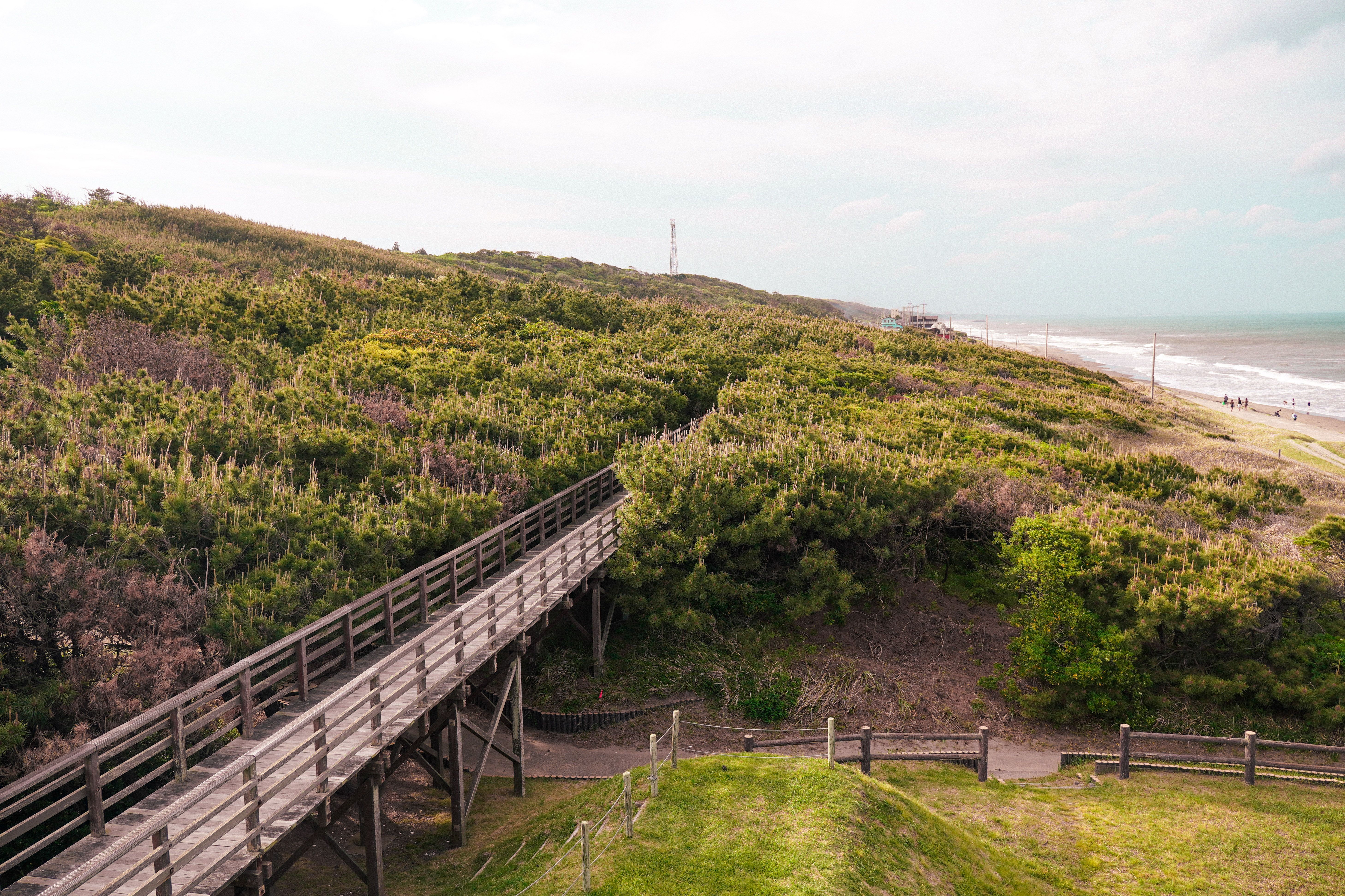 Breath-taking view of a coastal landscape featuring a wooden footbridge and lush greenery.