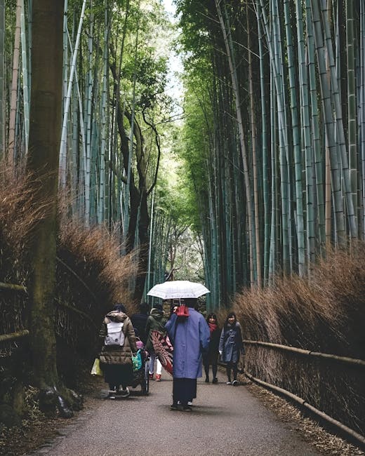 Bus Tickets & Public Transport Options Near Kyoto Bamboo Forest - Featured Image