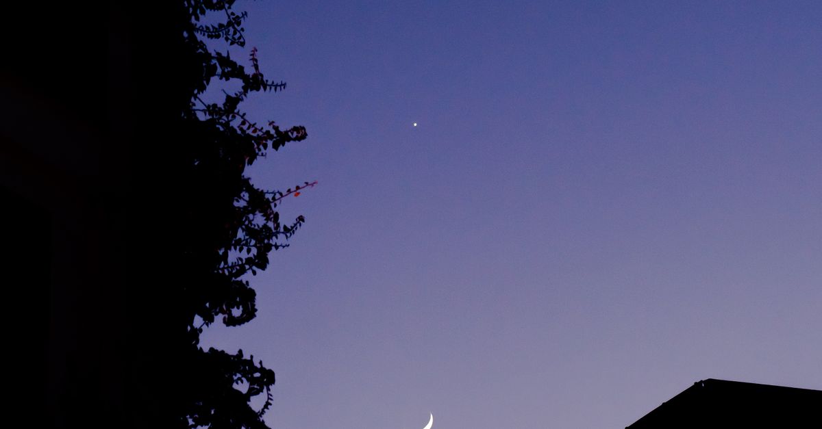 Observa la luna llena de otoño y la presencia de Saturno en el cielo nocturno Observa la luna llena de otoño y la presencia de Saturno en el cielo nocturno