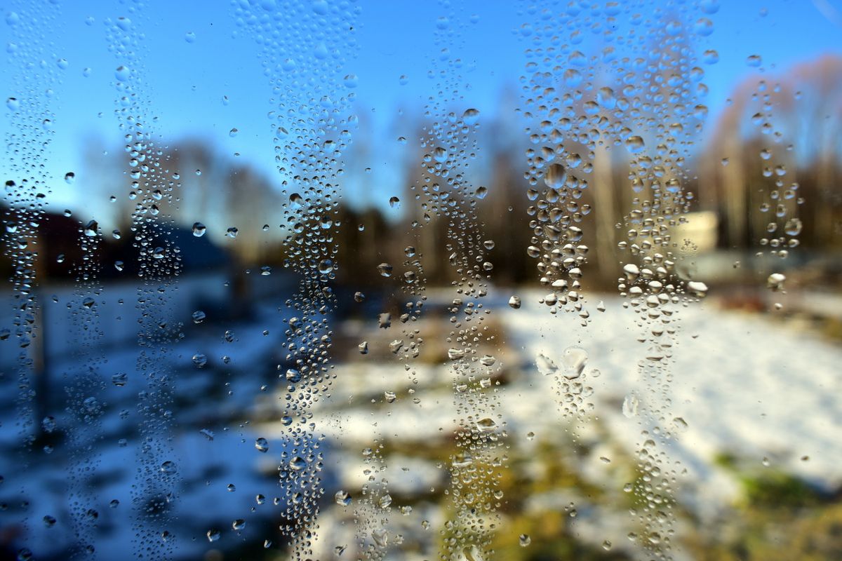 Condensation droplets on a cold window