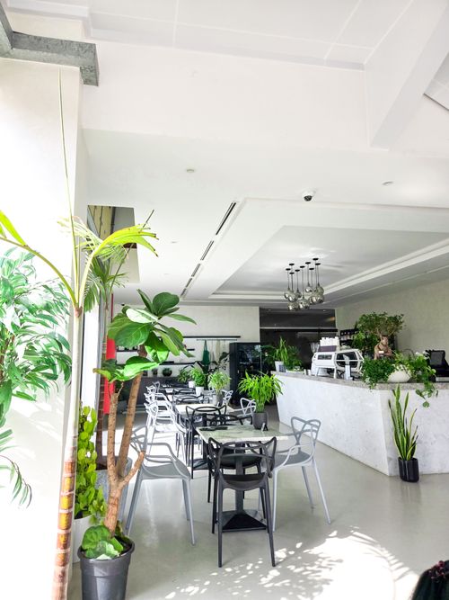 Free Bright and modern café interior with lush plants, stylish furniture, in Dubai, UAE. Stock Photo