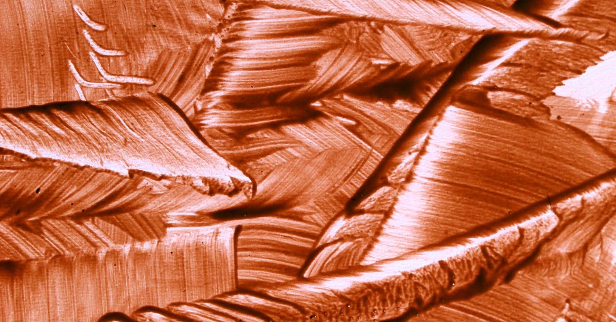 Materias primas que definieron el poder y la riqueza en la historia moderna Materias primas que definieron el poder y la riqueza en la historia moderna