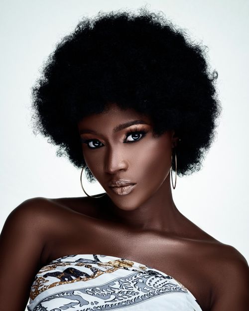 Free Portrait of an elegant woman with natural hairstyle and bold makeup. Stock Photo