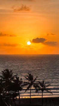 A breathtaking sunset over ocean waves with palm trees silhouetted against the vibrant sky.
