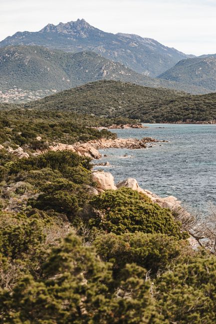 Explore the beautiful French mountainous coastline with lush greenery and clear waters.