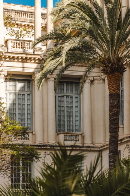 Classic architectural facade with palm trees in Nice, France.