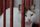 sad cat
