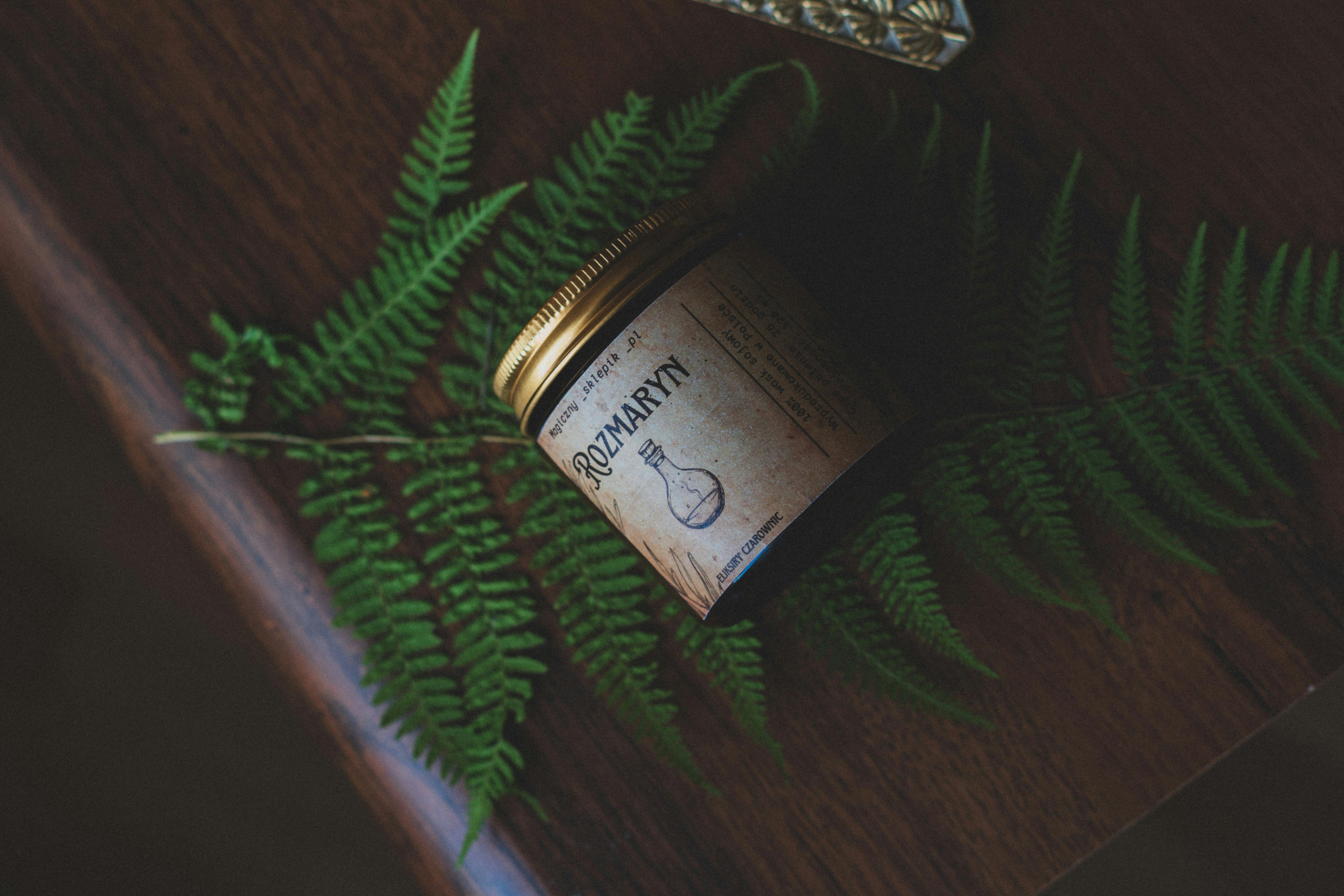 Embrace New Adventures with Captivating Scents