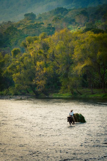 Person riding a horse across a serene river with lush forests in the background.