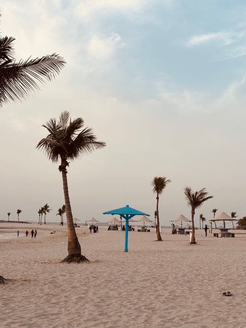 Free Peaceful beach scene with palm trees in Dubai, UAE, featuring clear skies and a serene atmosphere. Stock Photo