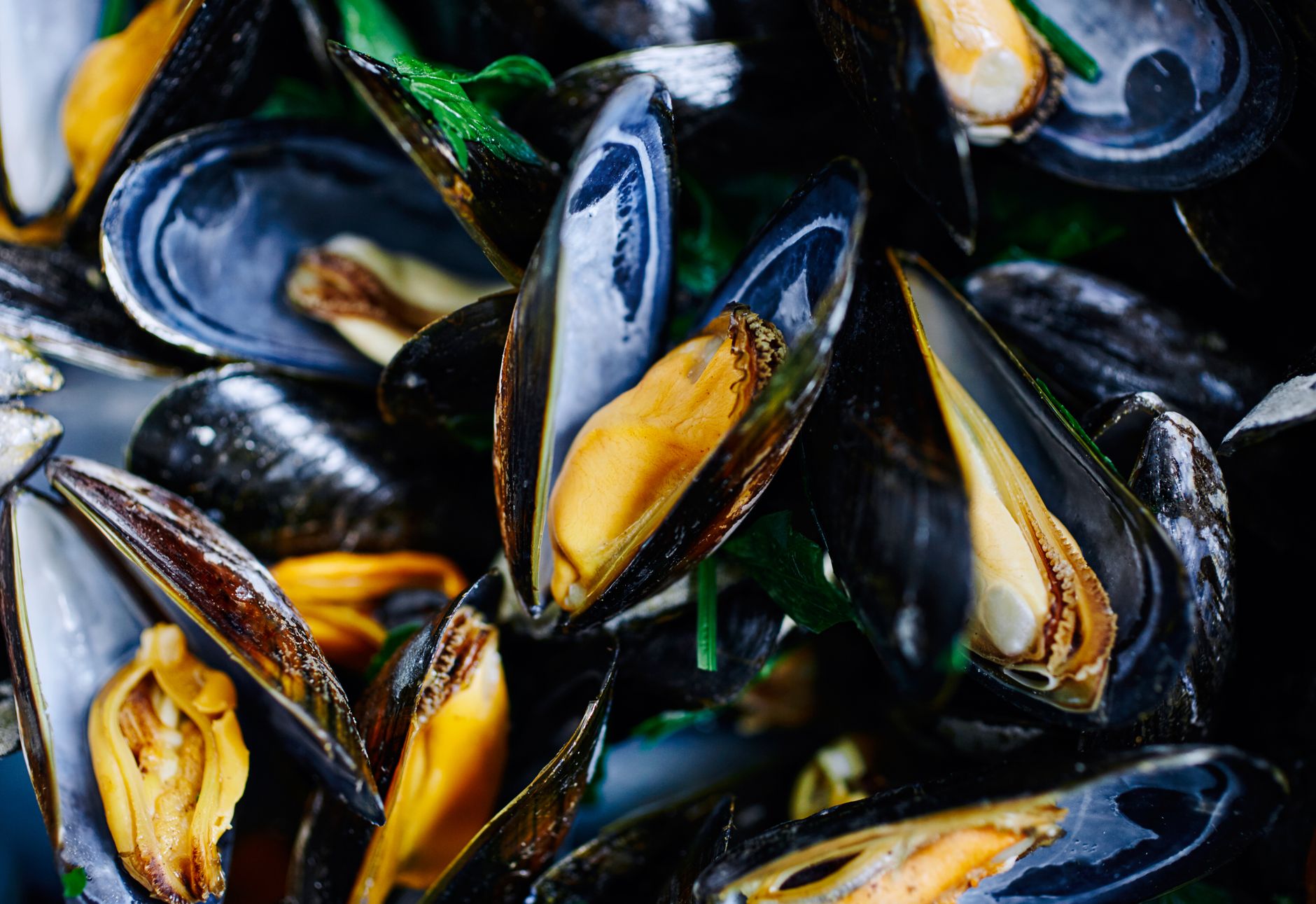 Steamed clams in a pot with herbs