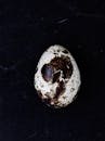 Artistic Quail Egg on Dark Background