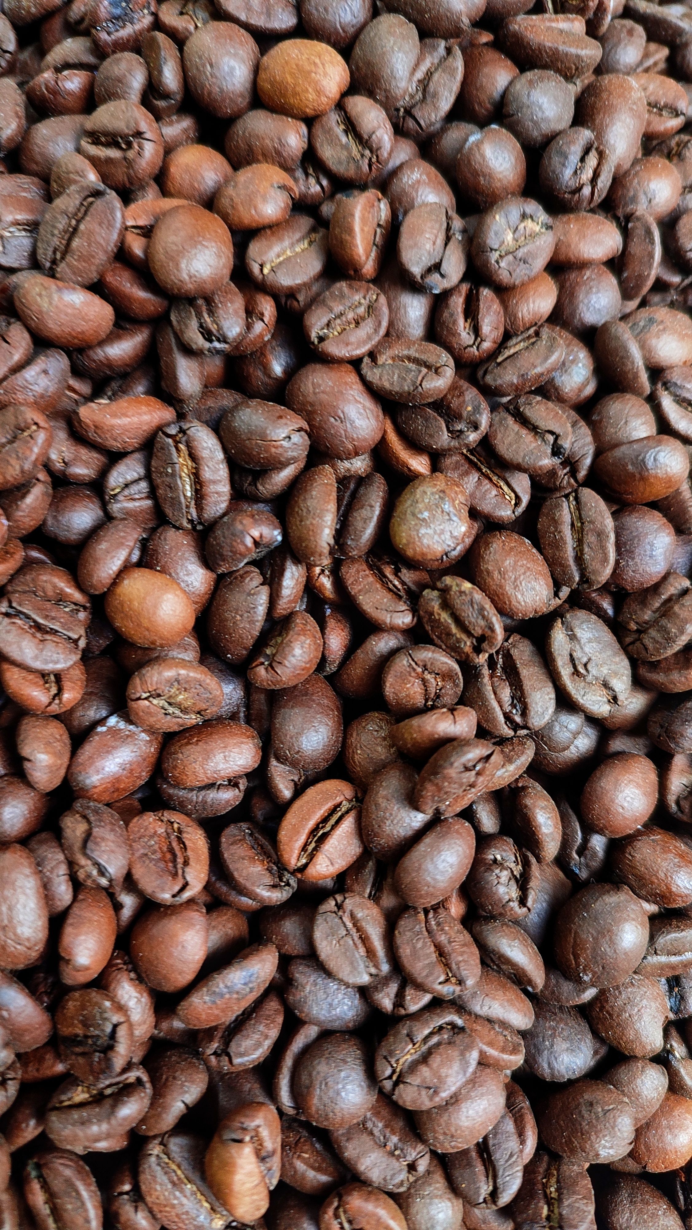 Close-up of vibrant, aromatic roasted coffee beans, perfect for coffee lovers.