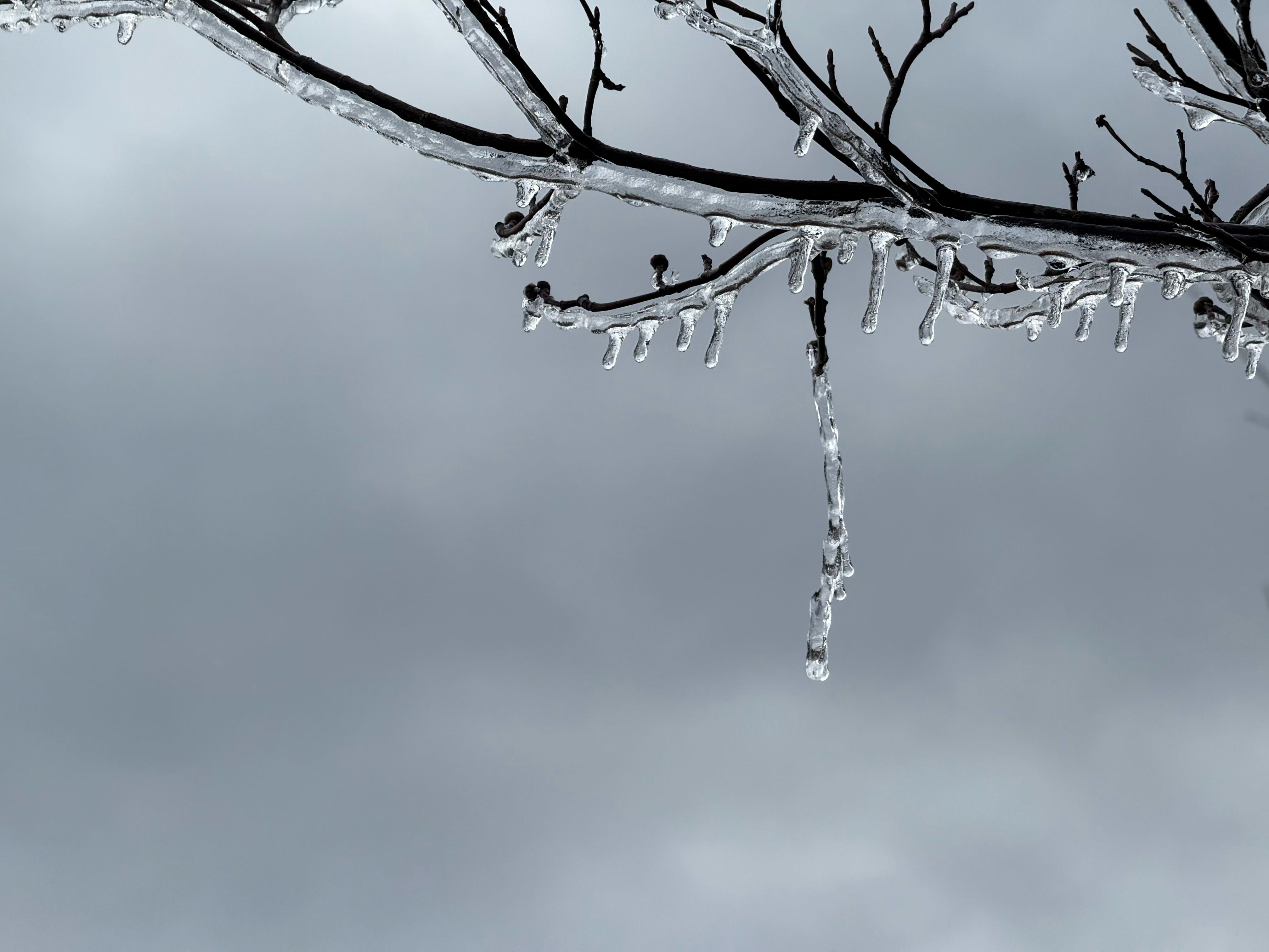 Ewing Township, NJ