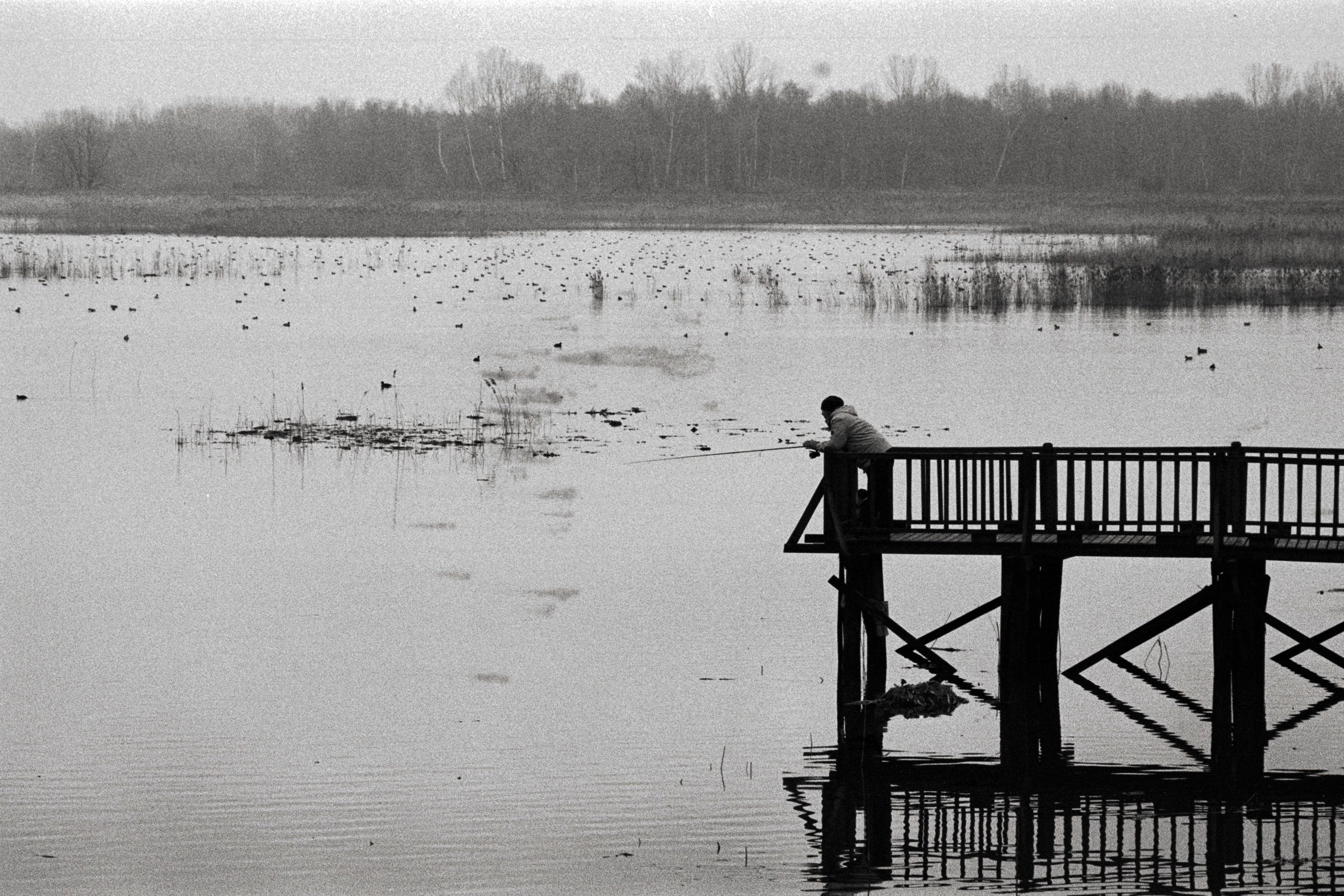 Serene black and white image of a lone fisherman on a wooden pier in Düzce, Türkiye.