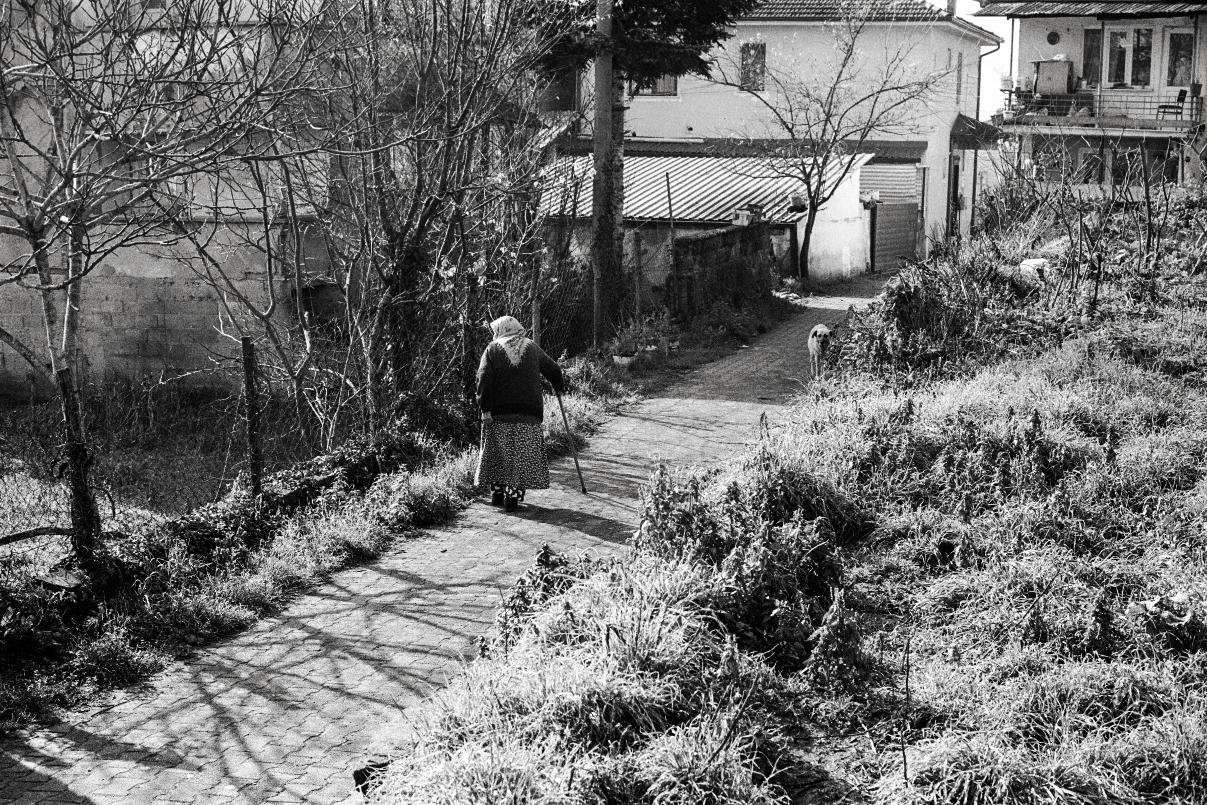 An elderly woman walks down a quiet rural path in Düzce, Türkiye, during winter.