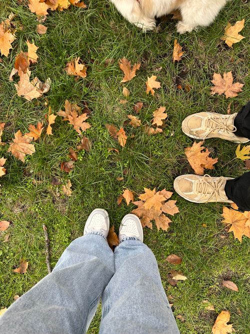 Free Two pairs of shoes standing on grass covered in autumn leaves with a dog visible. Stock Photo