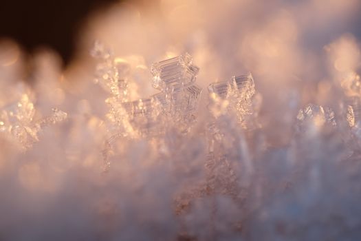 Macro shot of intricate snowflakes glowing in golden light, Goslar winter scene.