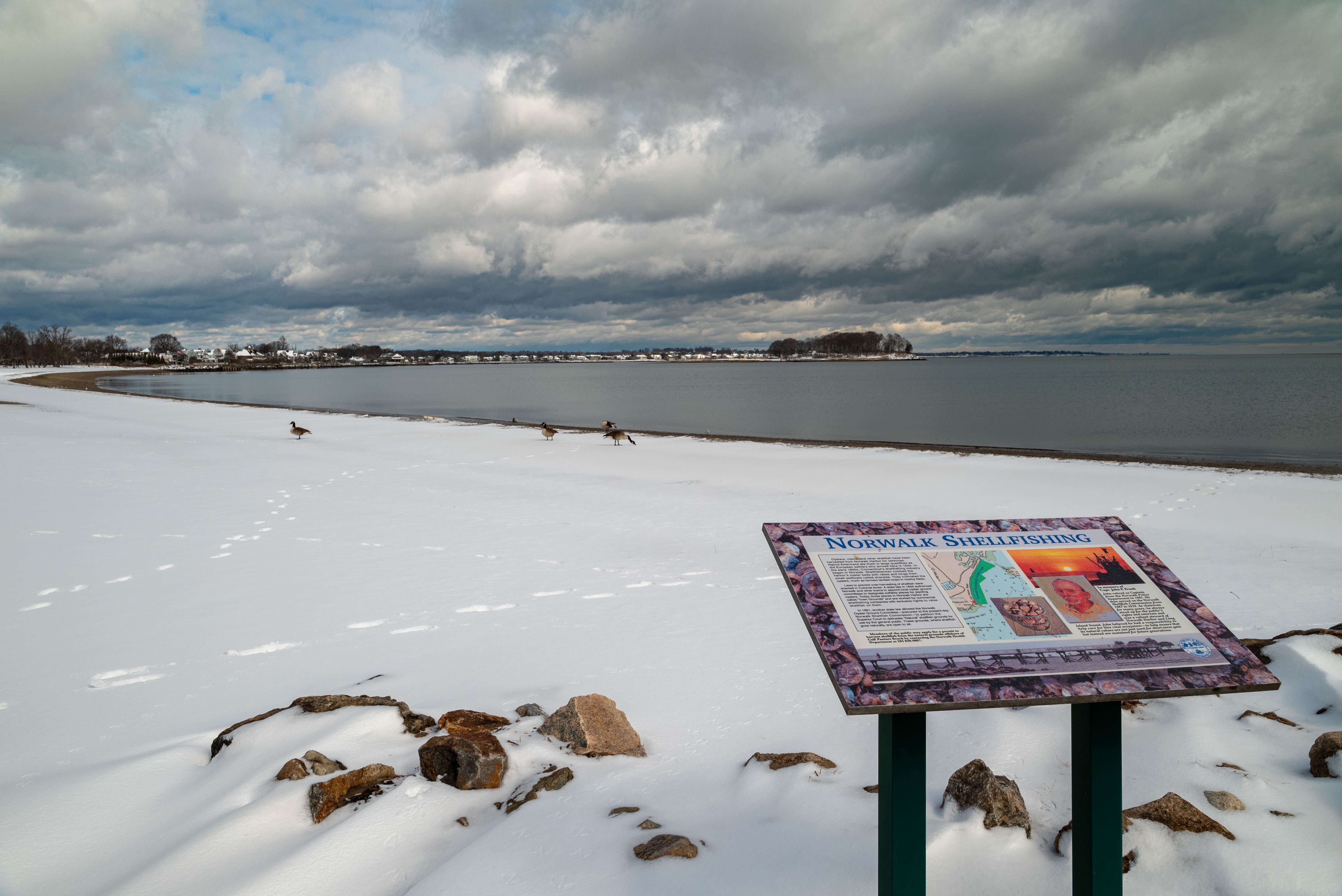 Norwalk, CT