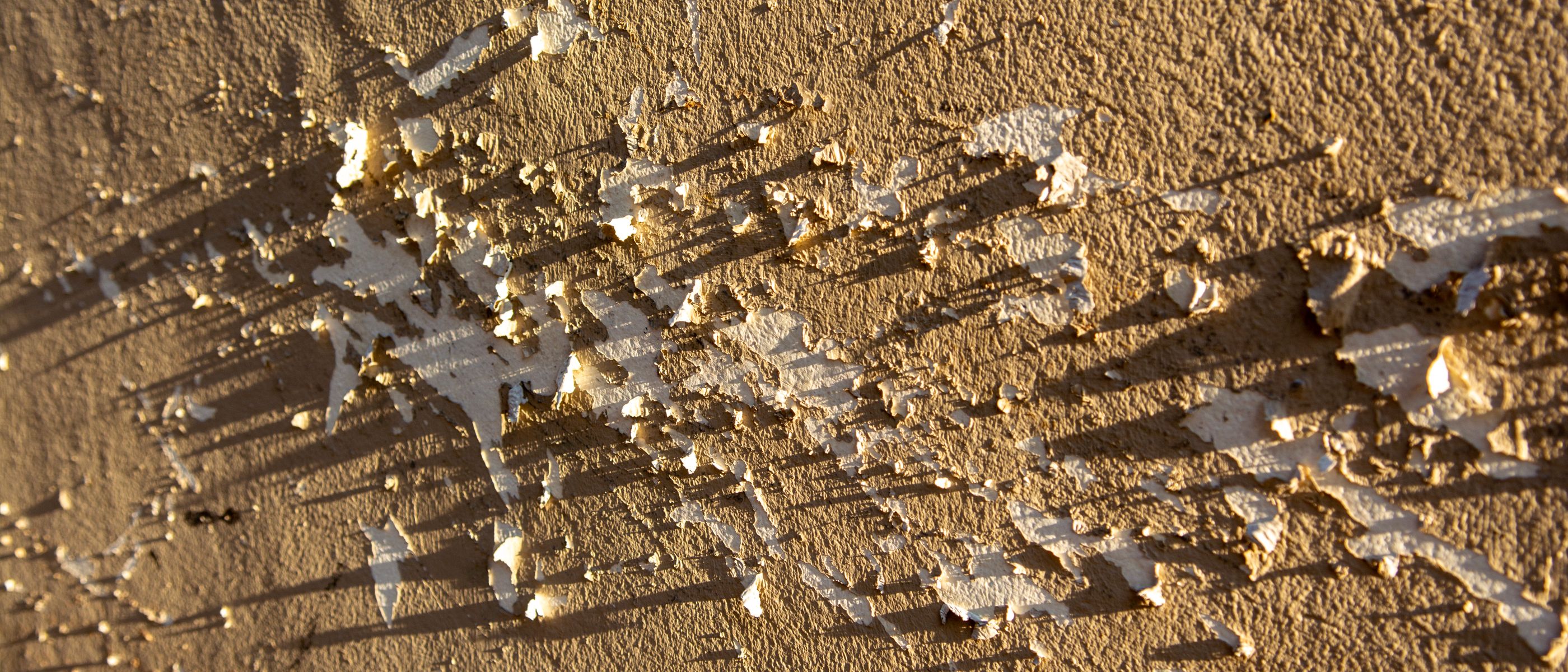 Painters and Decorators in Walthamstow — careful masking before painting begins