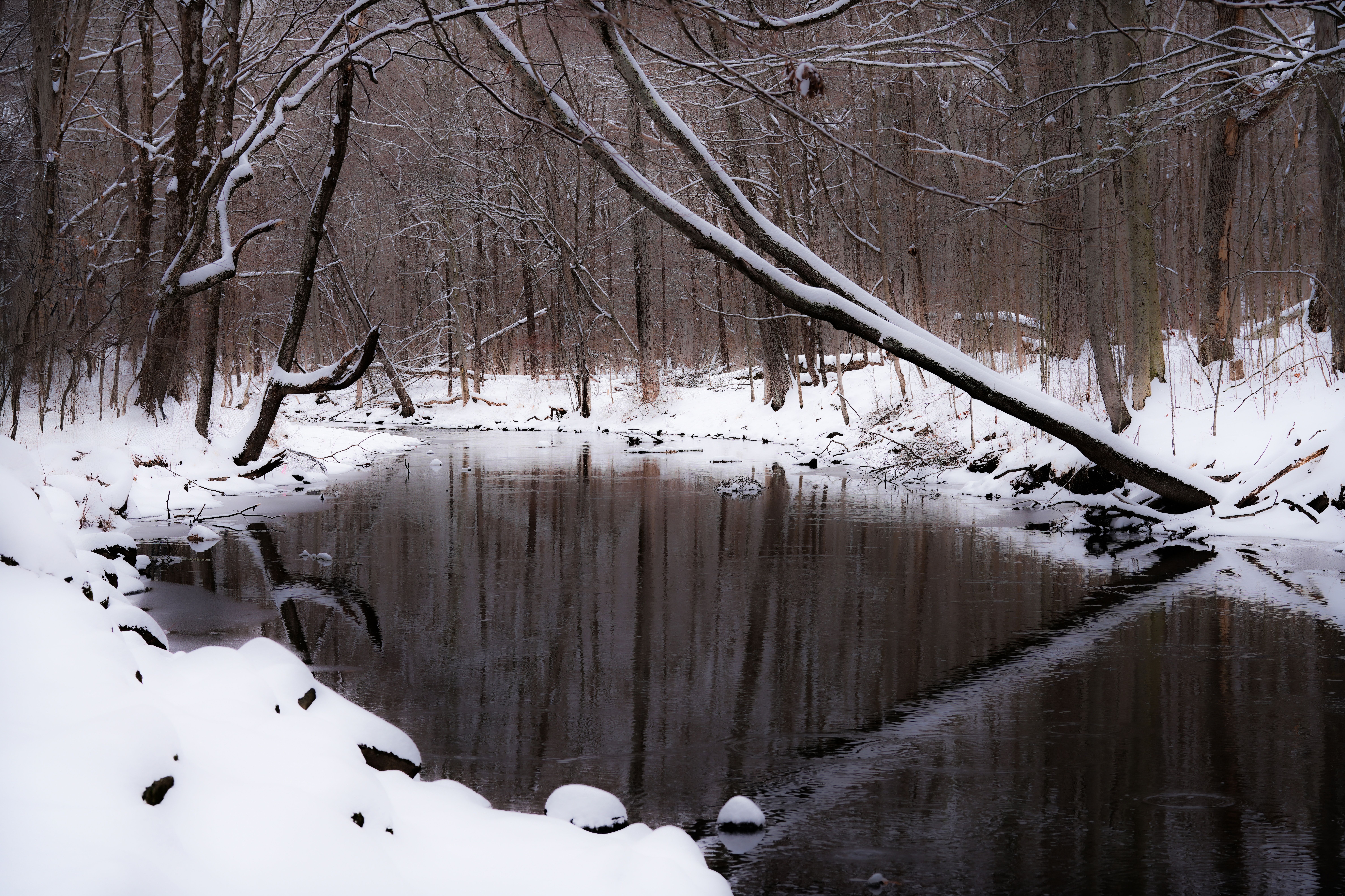 Serene Winter River in Snowy Forest, Connecticut · Free Stock Photo