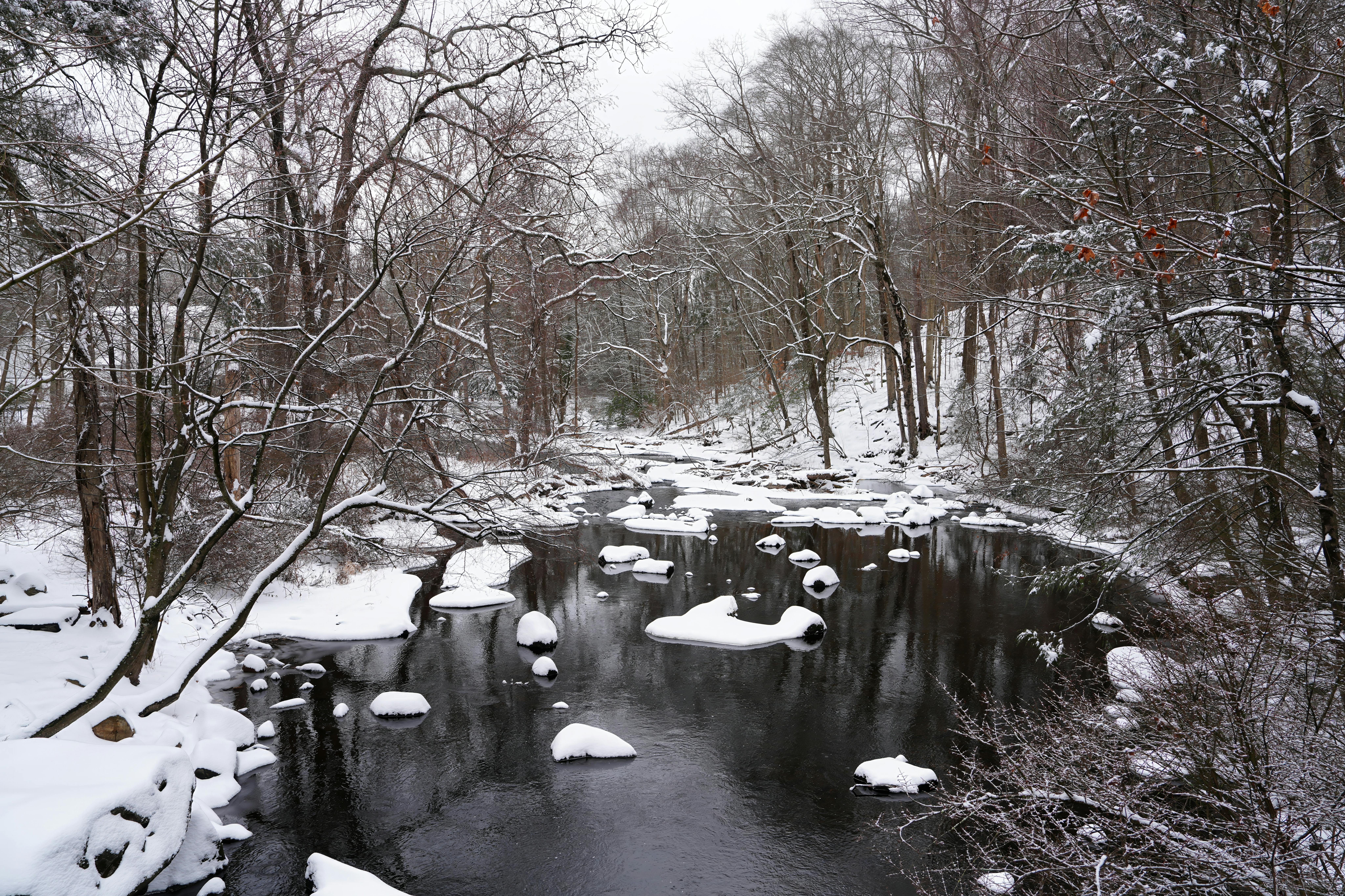 https://www.pexels.com/photo/winter-scene-at-mianus-river-park-in-stamford-30651073/
