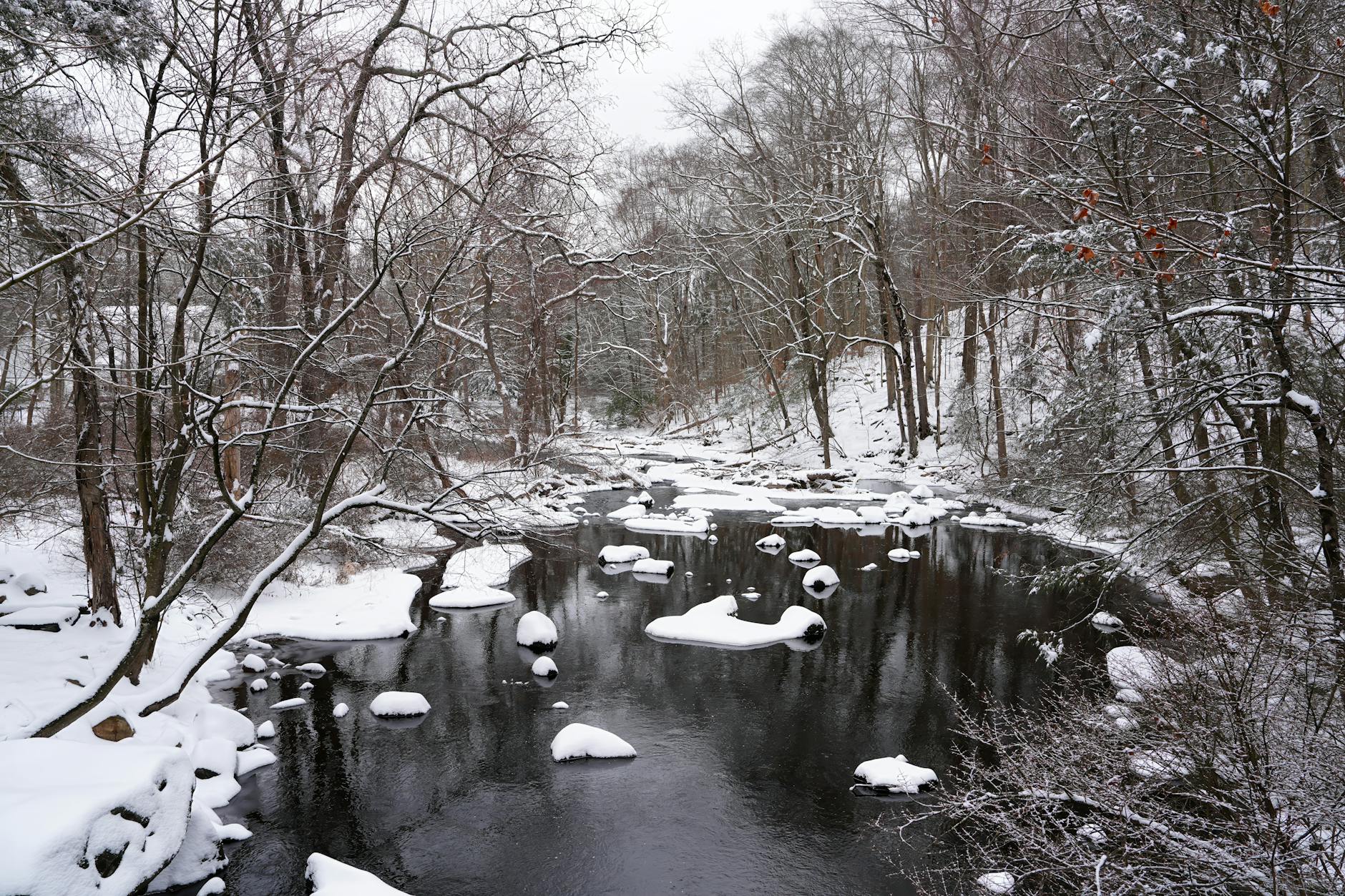 https://www.pexels.com/photo/winter-scene-at-mianus-river-park-in-stamford-30651073/
