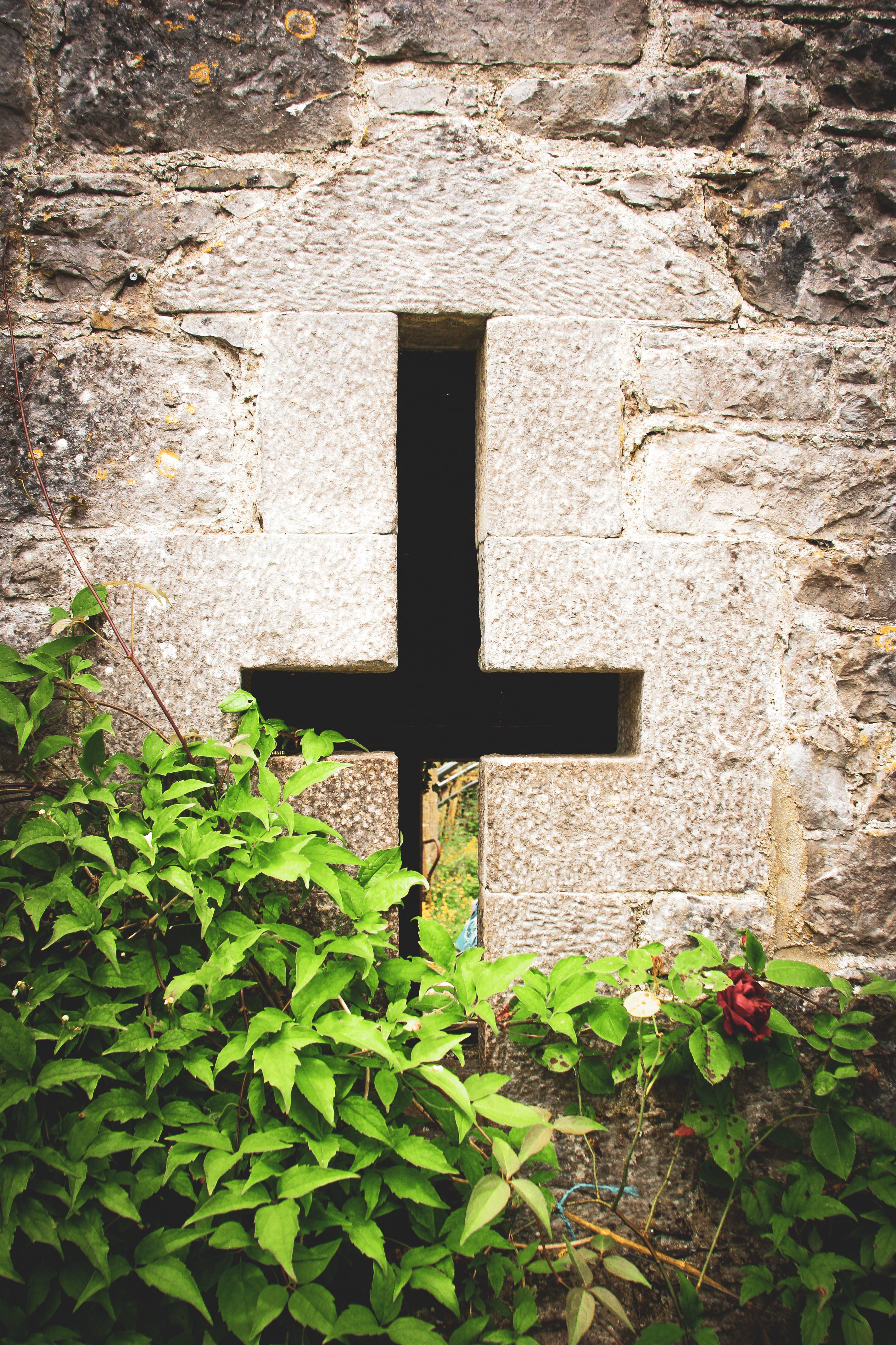 Ancient stone wall with a cross-shaped opening, adorned with vibrant greenery and roses.