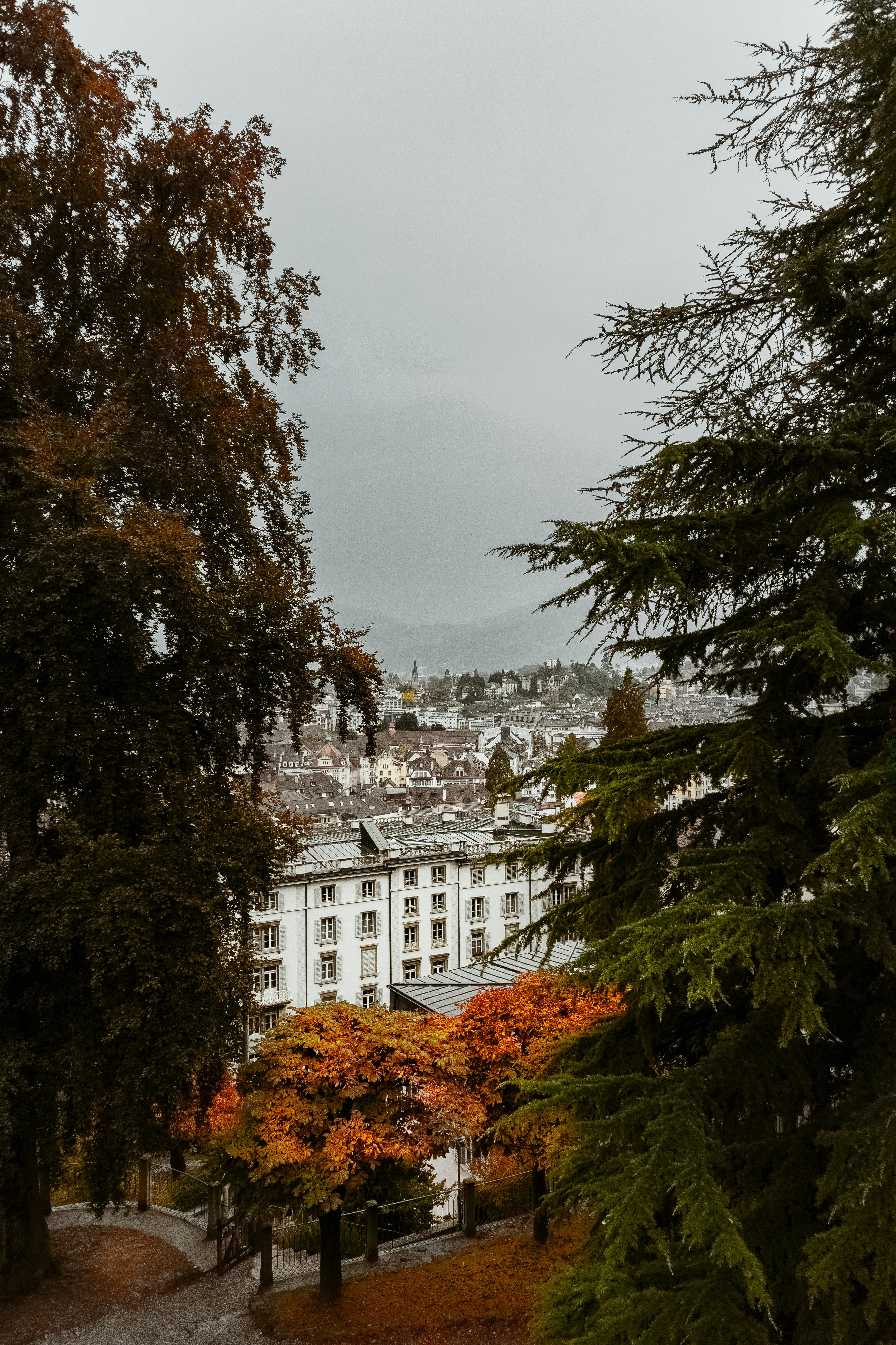 Trees With Autumn Leaves Near A Building