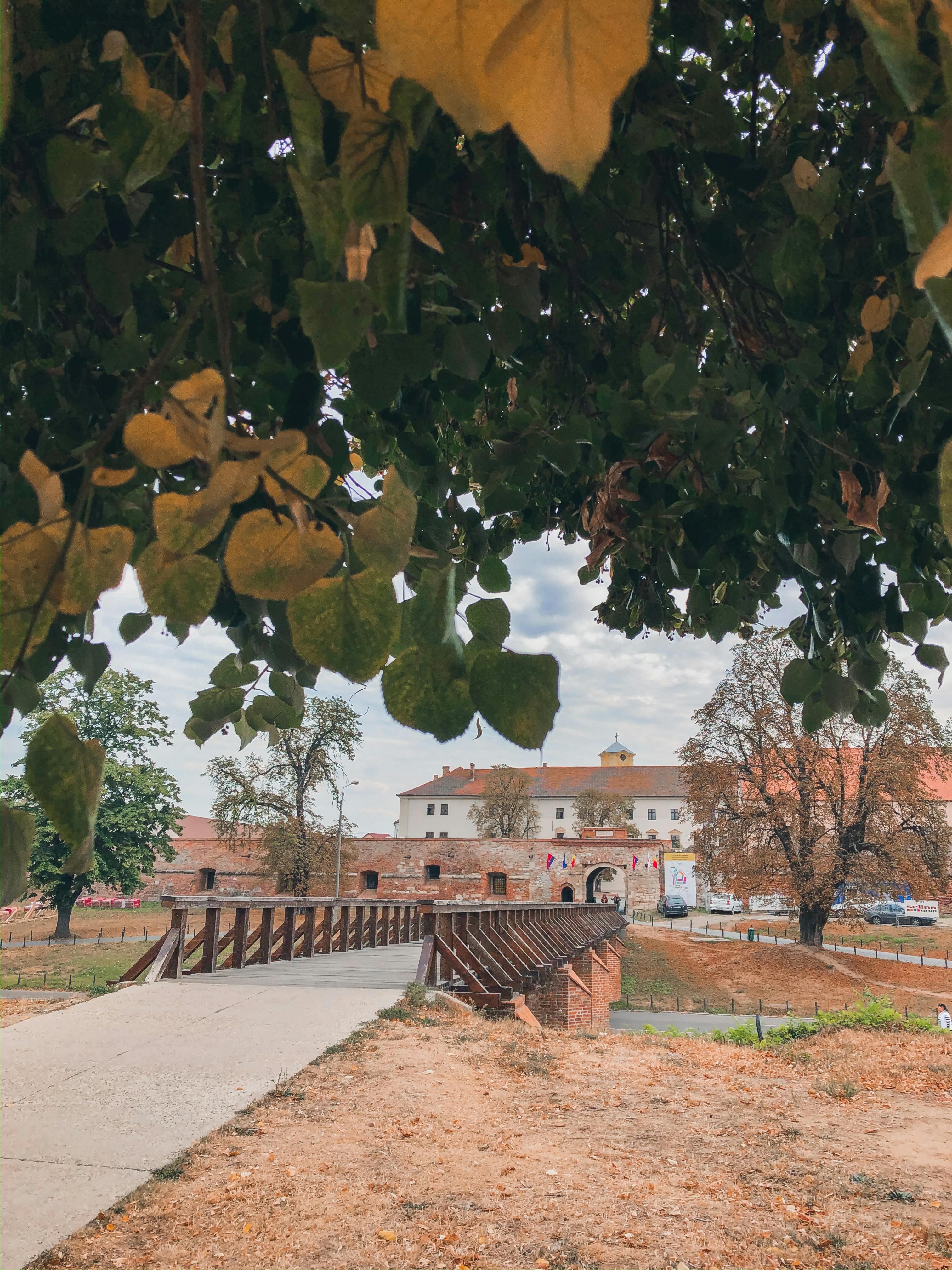 秋叶映衬着通往奥拉迪亚堡垒的桥梁，位于罗马尼亚奥拉迪亚