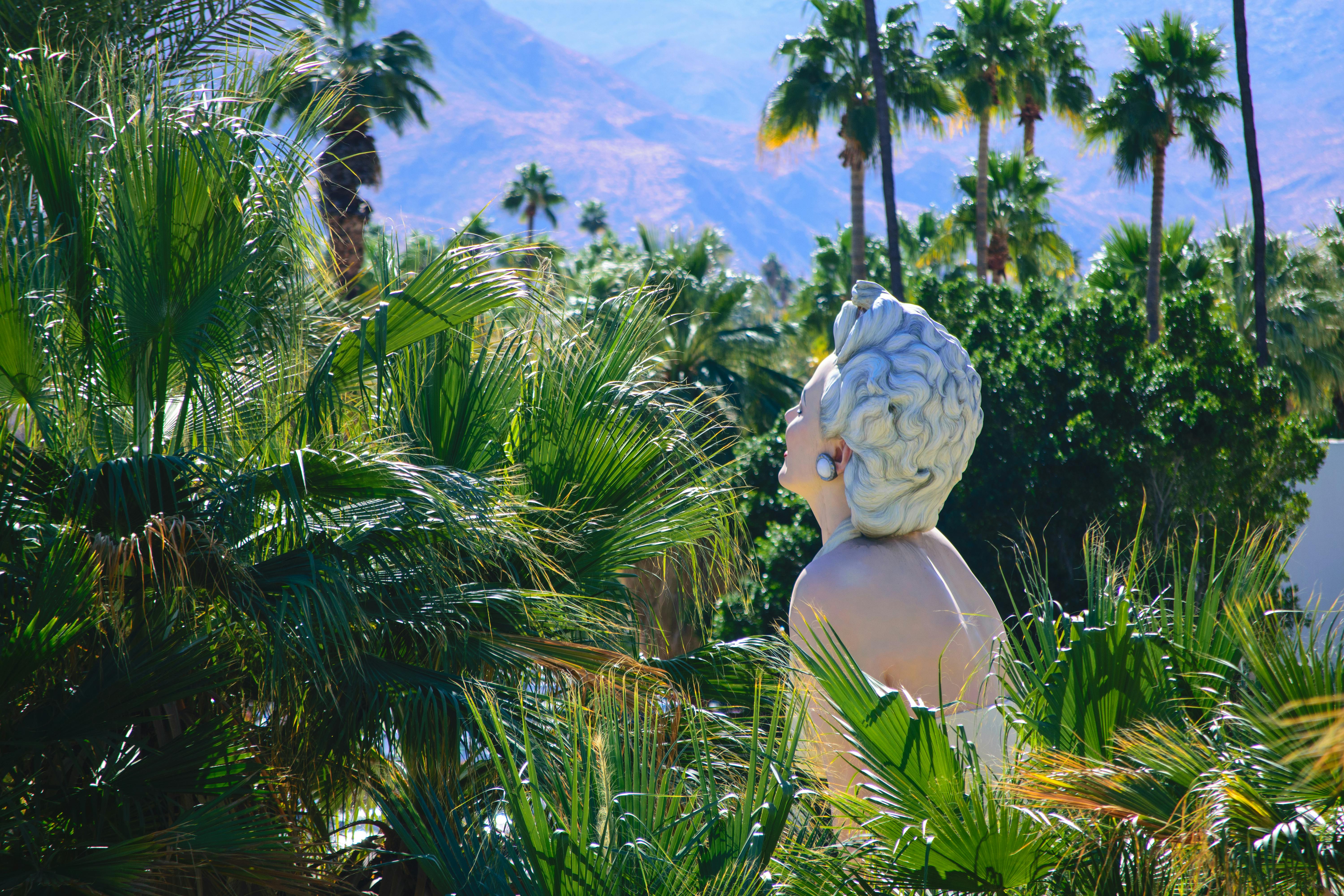 Free stock photo of art in public spaces, artistic sculpture, palm springs