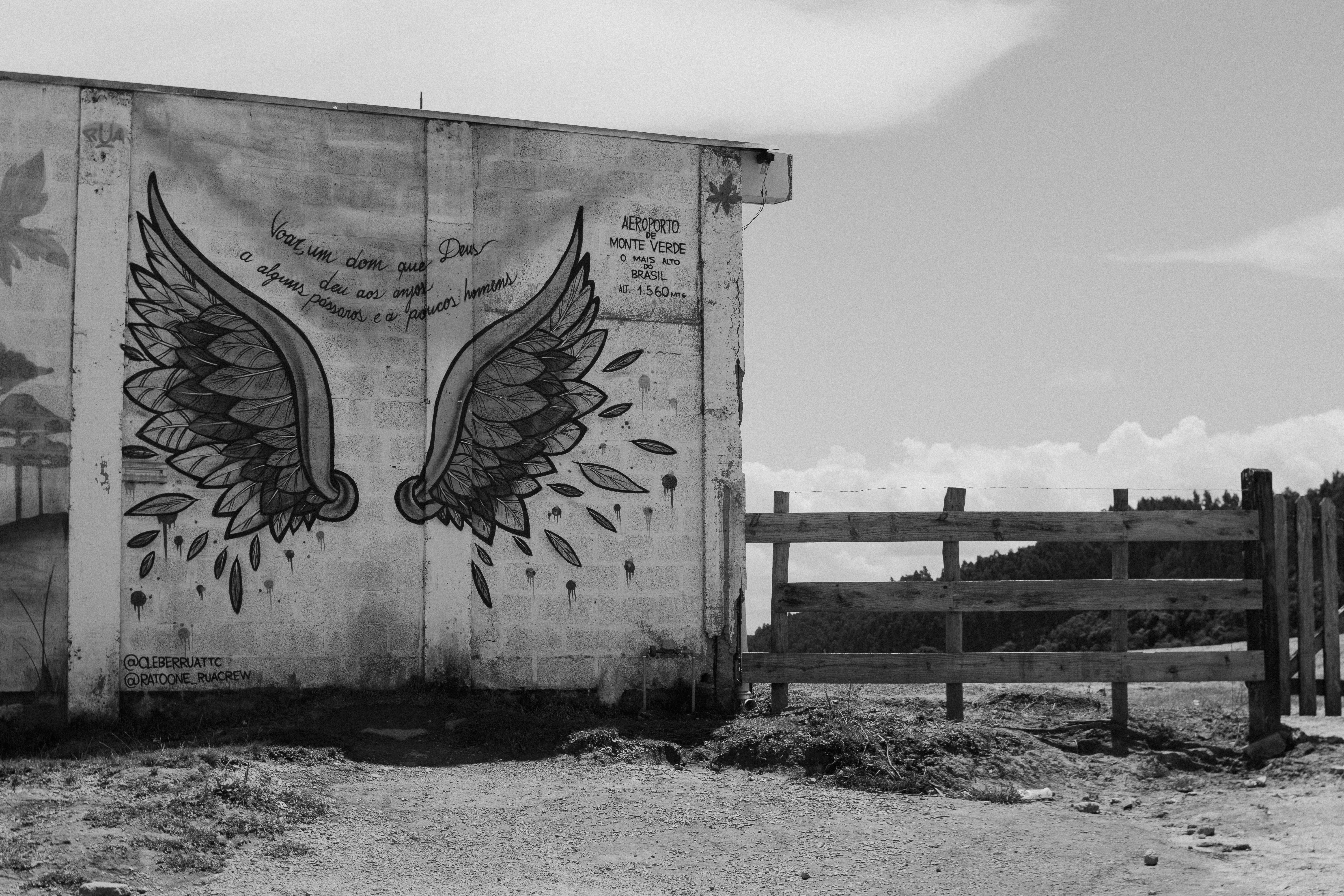Mural Artístico Celebra Ciência e Biodiversidade na UFMT Sinop
