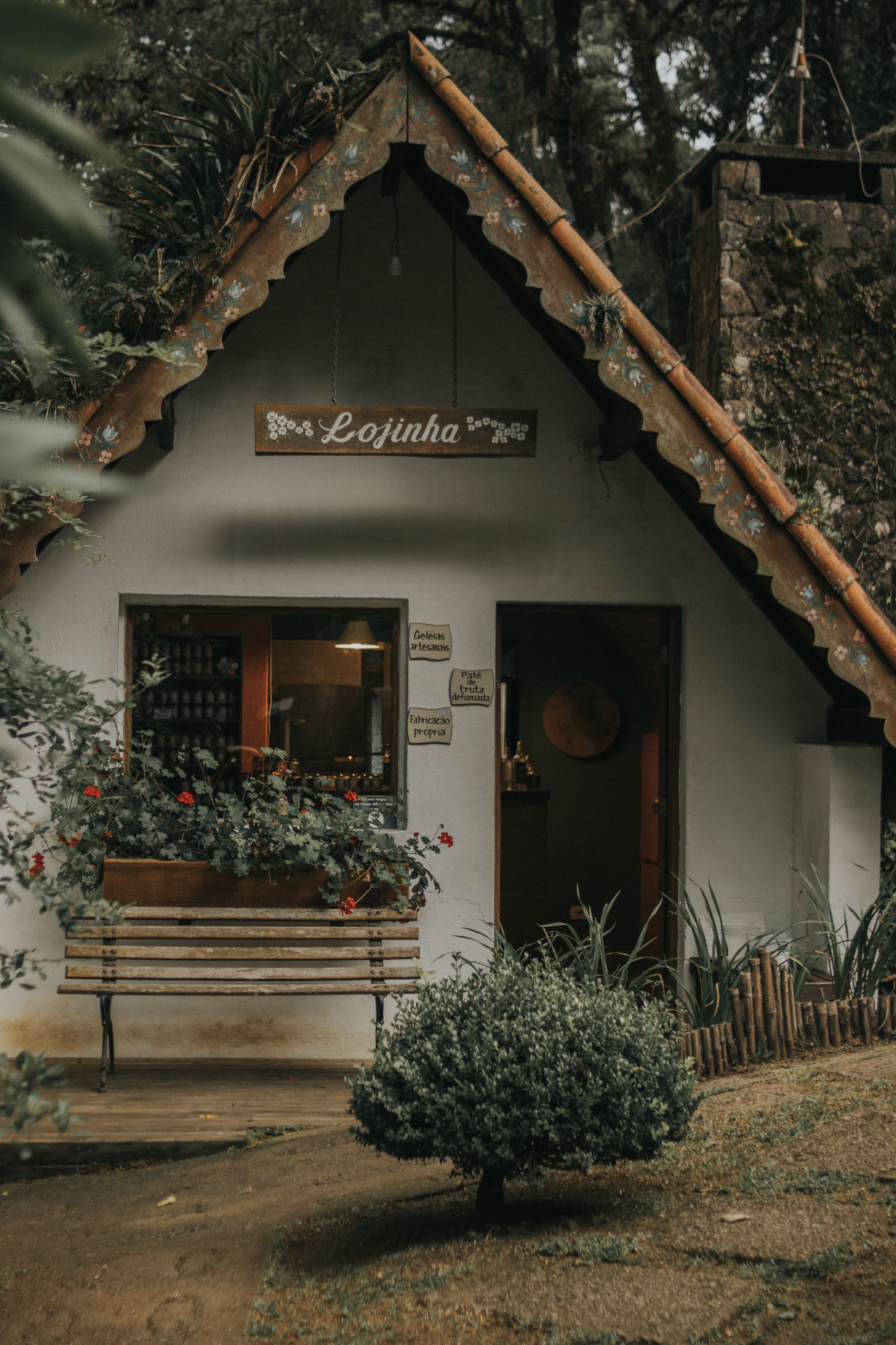 Charming Rustic Cottage Shop in Forested Setting · Free Stock Photo