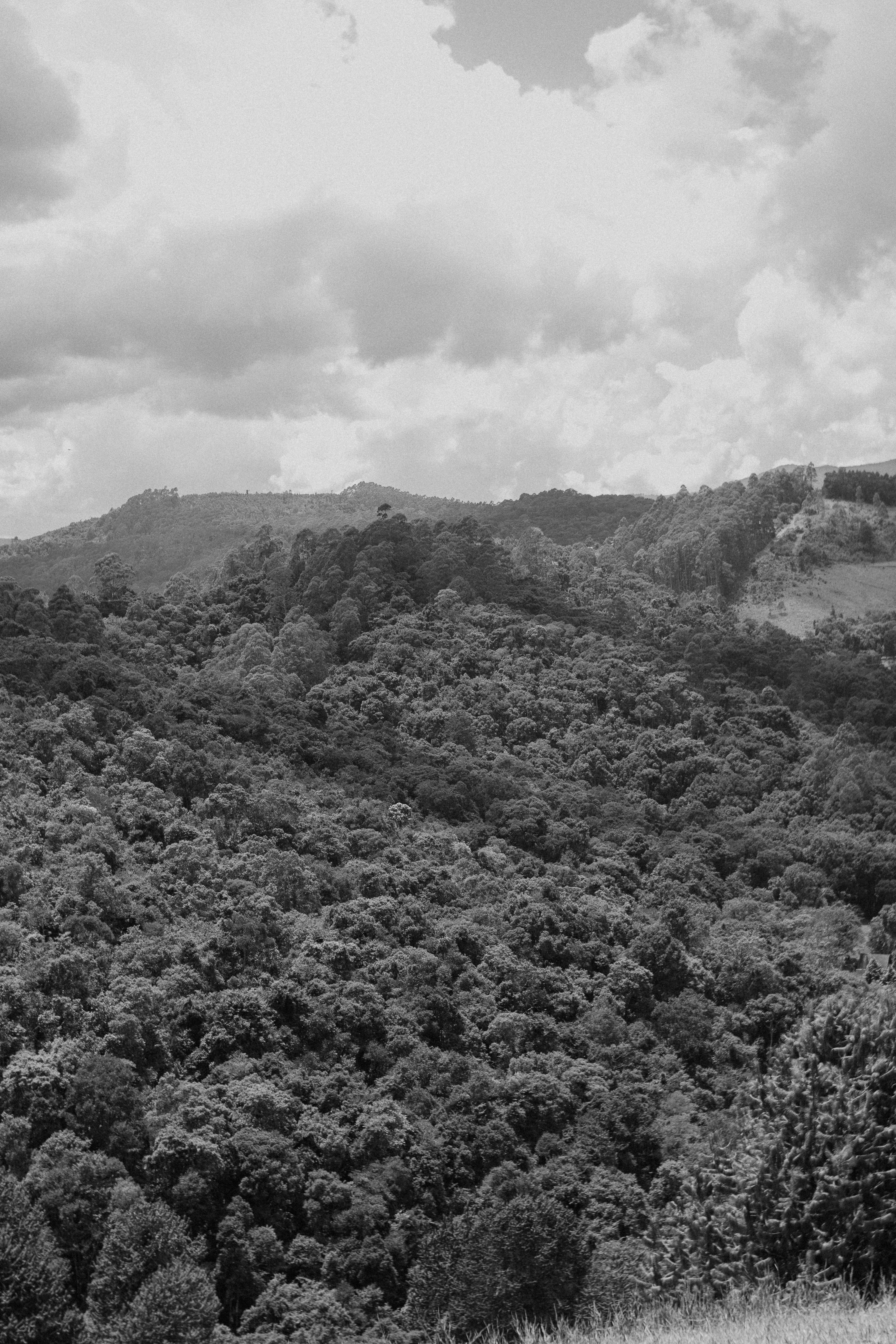 View of black