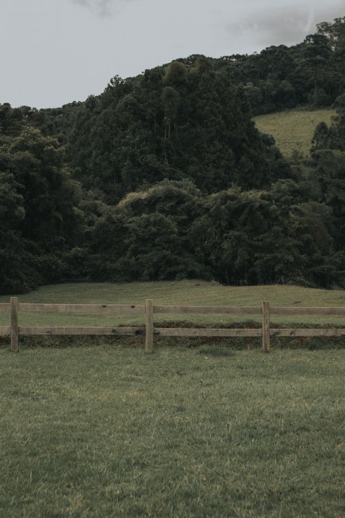 Free A serene view of a lush green field bordered by a wooden fence near forested hills. Stock Photo