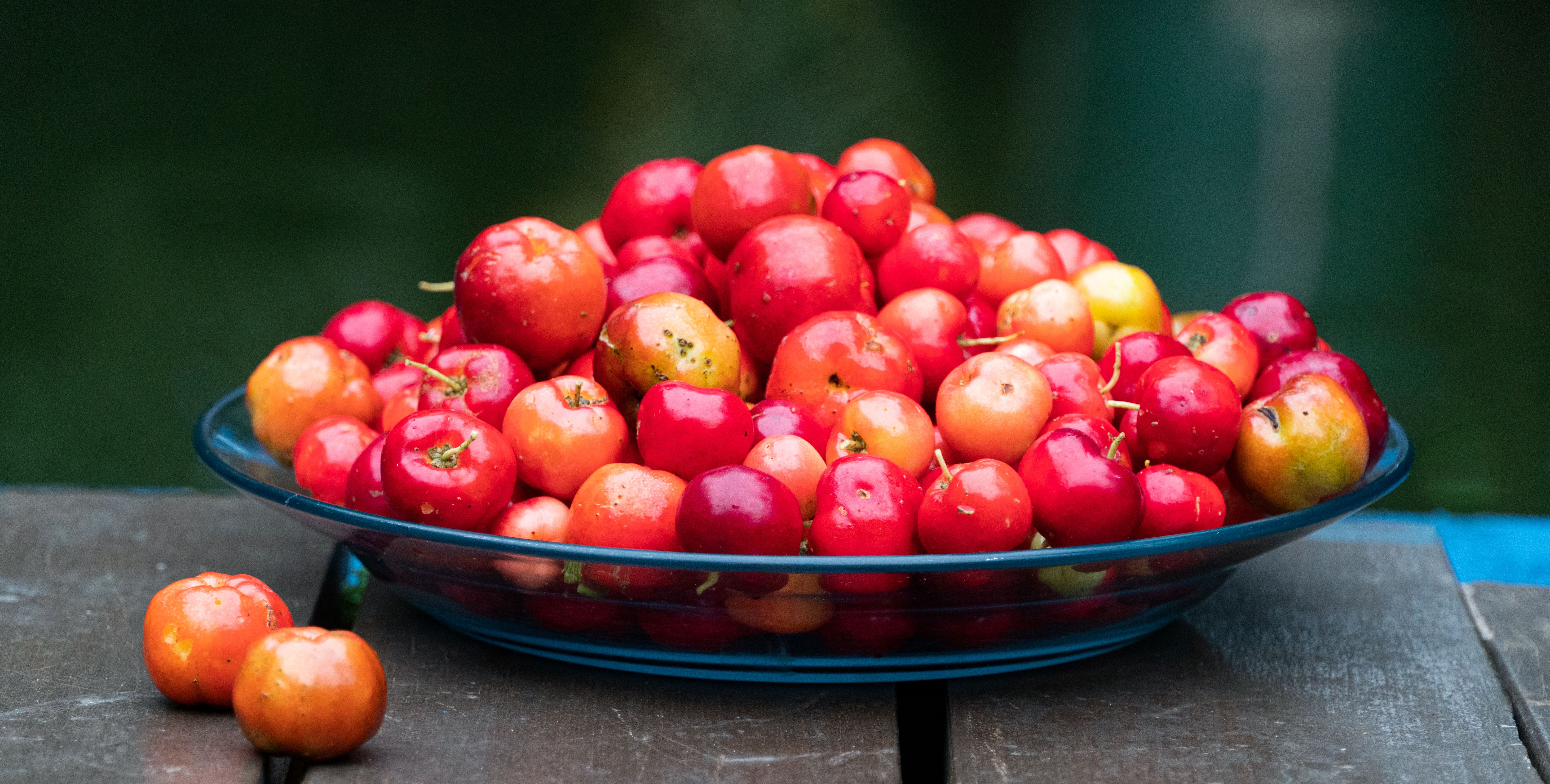 Brazilian Cherry