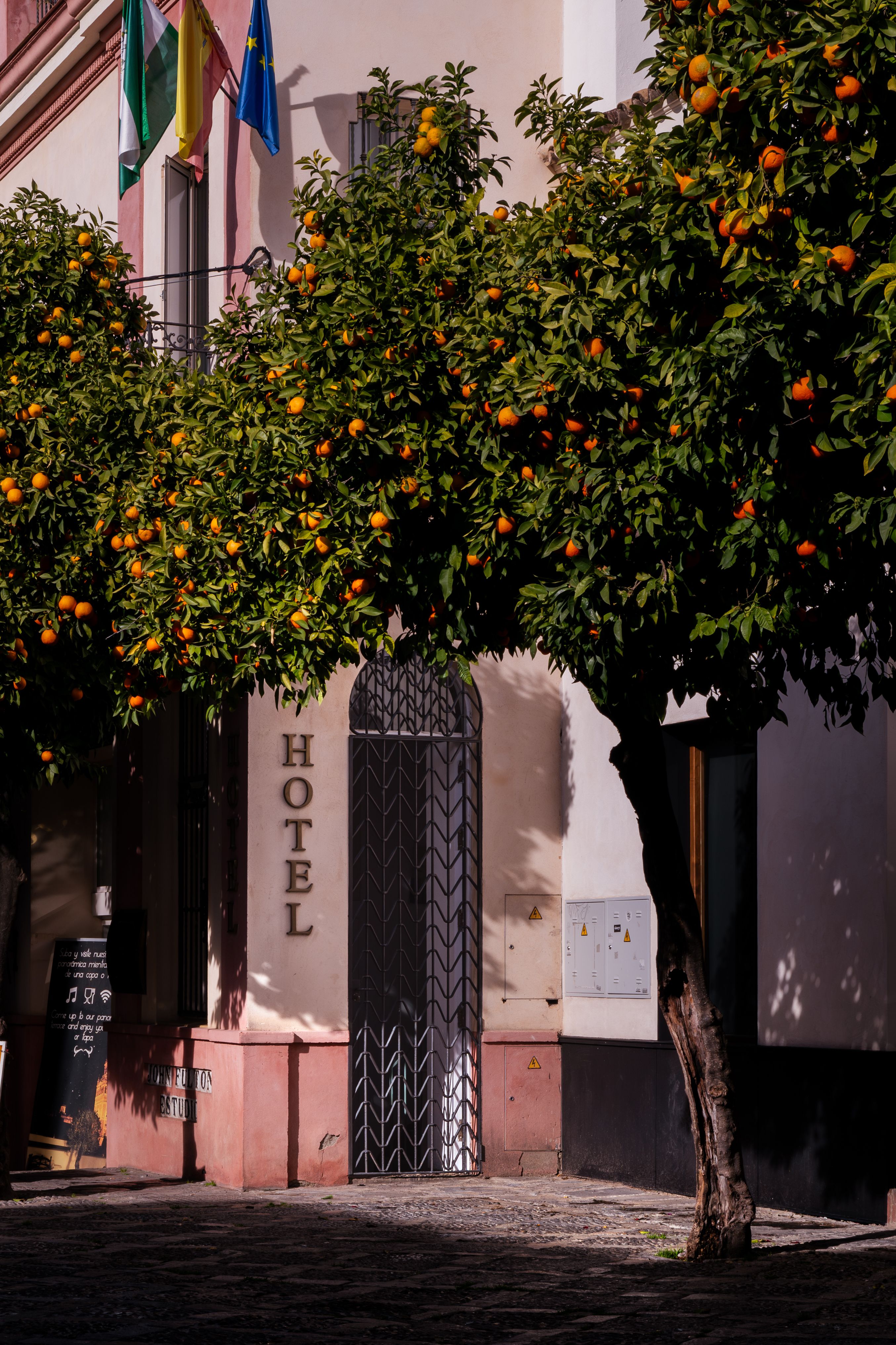 Vibrant orange trees by a hotel entrance in Seville, capturing the essence of Andalucía.