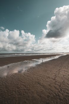 黑灵斯多夫海滩的日落充满戏剧性，沙地上留着脚印，海鸥在海浪上方翱翔