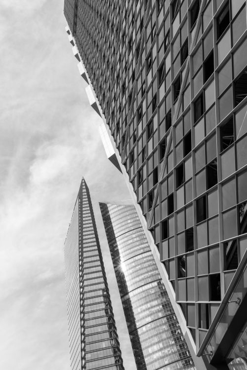 Free Dramatic black and white view of modern skyscrapers in Mexico City's skyline. Stock Photo