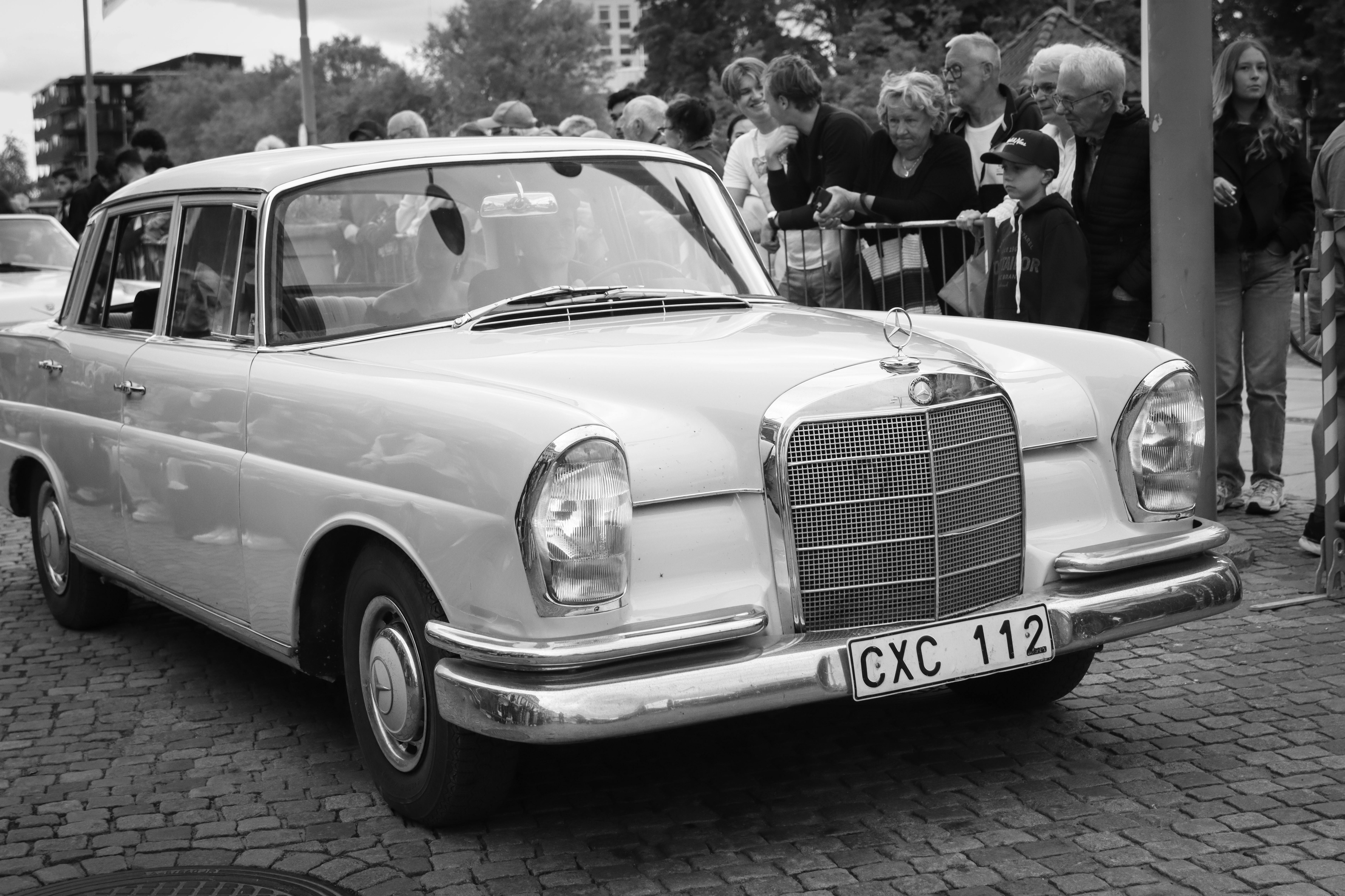 Classic cars lined up at the St Peter Car Show