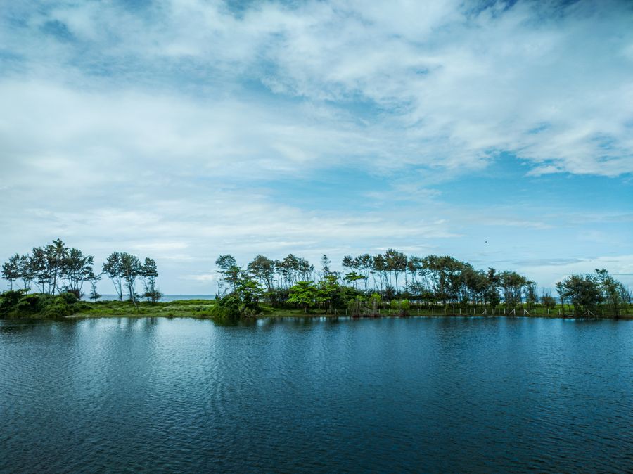 Kappil Lake Estuary photo 2