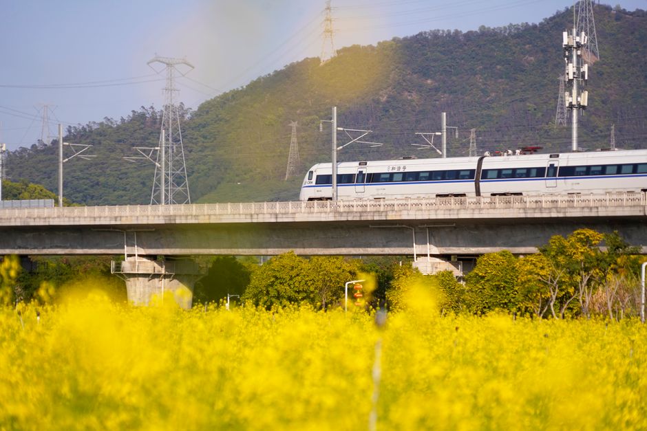 High-speed train traveling over a bridge amidst scenic yellow fields and hills in spring.