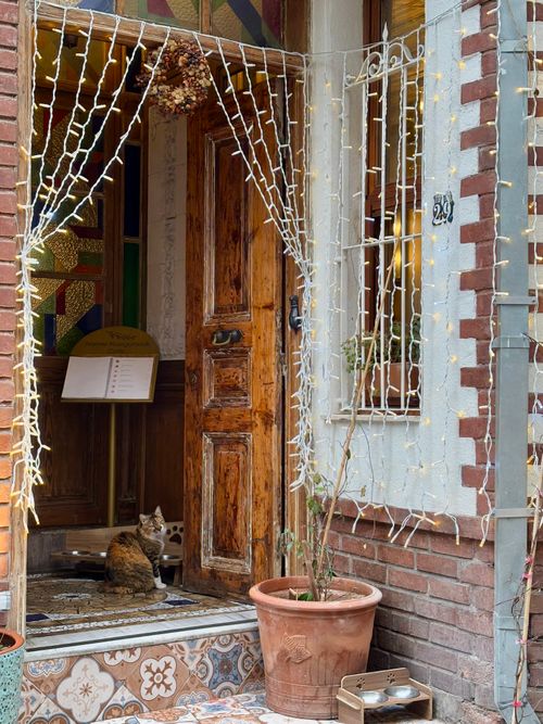 Free Cozy rustic doorway adorned with fairy lights and a cat, evoking a warm urban charm. Stock Photo