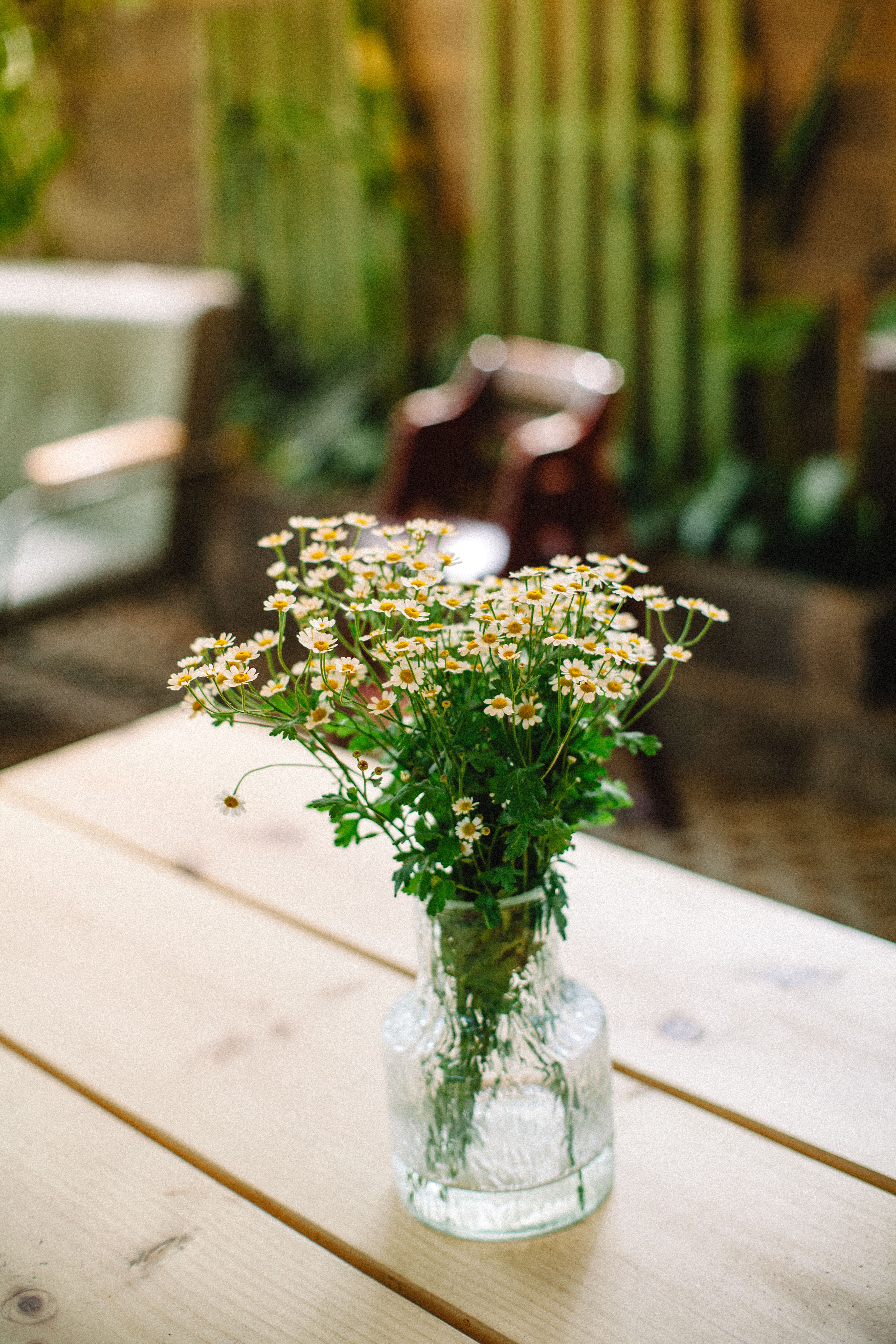 Small glass vase with white chamomile flowers on a wooden table