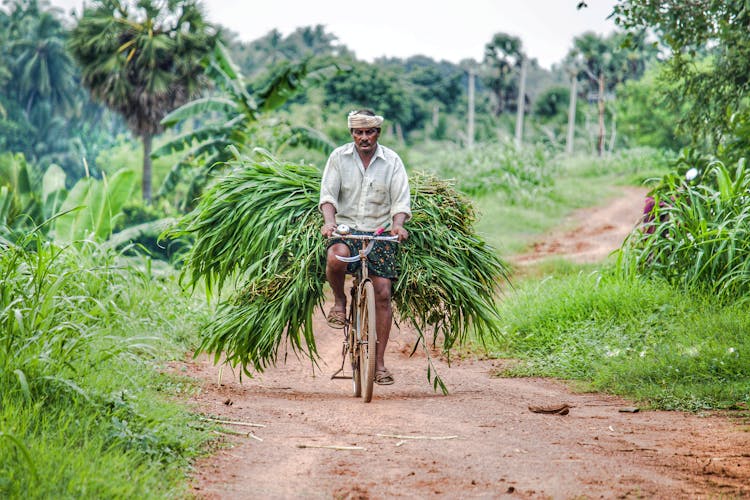 Man Riding Bicycle On Dirt Road