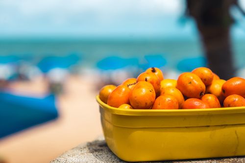 Free Vibrant tomatoes in a yellow basket with a blurred beach background. Stock Photo